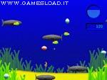 Fish Shoot