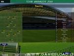 Team Manager