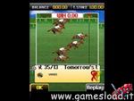 Royal Derby