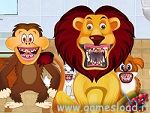 Animal Dentist Animal Dentist