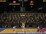 BunnyLimpics VolleyBall