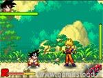 Dragon Ball Z Fight