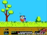 Duck Hunt