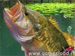 Lake Fishing Green Lagoon