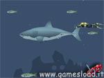 Mad Shark
