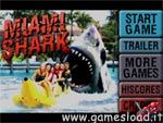 Miami Shark Online