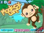 Monkey Care