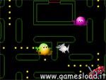Pacman Squalo PC