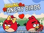 Rolling Angry Birds