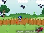 Sonic In Garden