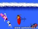 Surf Con Sam Surf Con Sam
