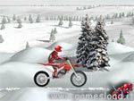 Winter Rider