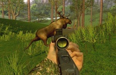 GIOCHI CACCIA AL CINGHIALE SCARICARE